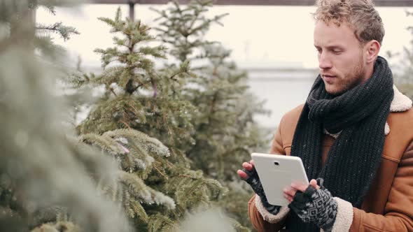 Handsome Man in Stylish Wearing Is Using a Notepad and Choosing Christmas Tree at Market