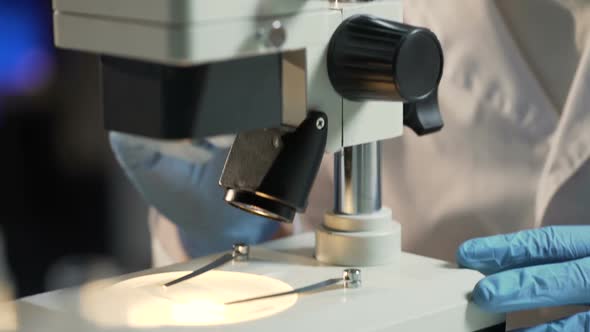 Laboratory Worker Examining Abnormal Structure of Cells Under Microscope