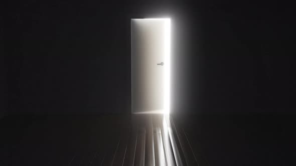 Door Opens. Bright Light Floods The Room