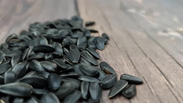 Sunflower Seeds Closeup