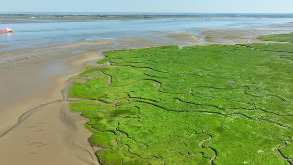 Aerial shot of vibrant green wetlands and muddy banks along a calm river navigated by a red cargo sh