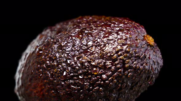 Wet Ripe Mango on Dark Background