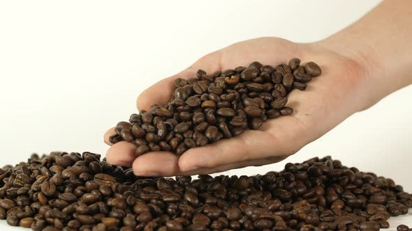 Coffee Beans In Hand