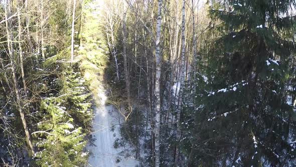 Aerial scene in winter forest