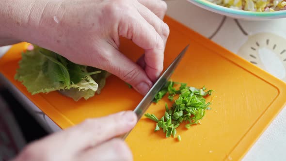 Female Hands Finely Chop Greens for Salad with Radish