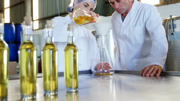 Technicians examining olive oil 4k