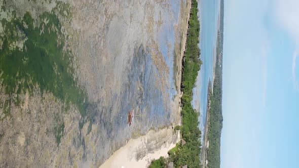 Zanzibar Tanzania  Vertical Video of Low Tide in the Ocean Near the Coast Slow Motion