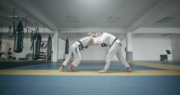 Female Athlete In Mixed Martial Arts Training