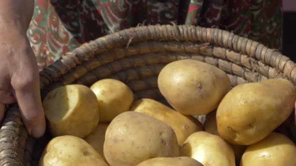 Organic Potatoes