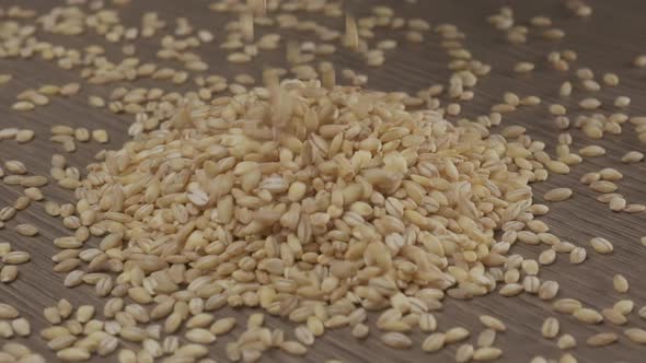 Barley Cereal Grain