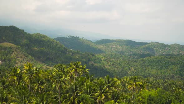 Mountains with Tropical Forest
