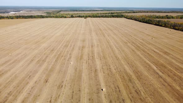 Hay Rolls on the Field Aerial View