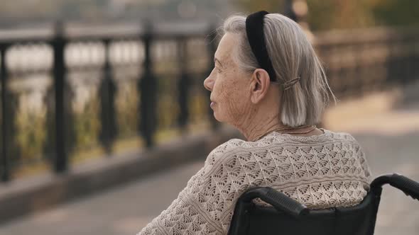 Disabled Senior Woman Sit on Wheelchair at Park