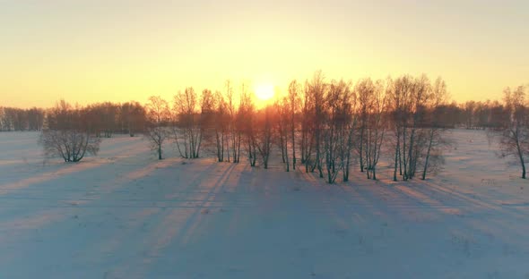 Aerial Drone View of Cold Winter Landscape with Arctic Field, Trees Covered with Frost Snow and