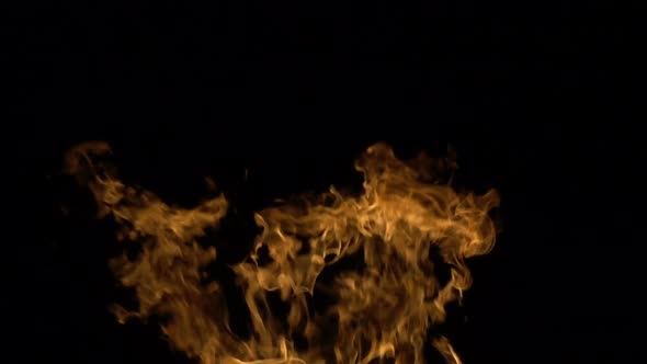 Fire on a Black Background