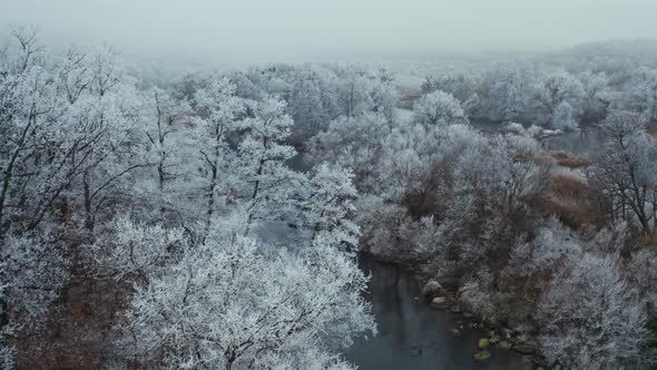 Tranquil Atmosphere in Nature