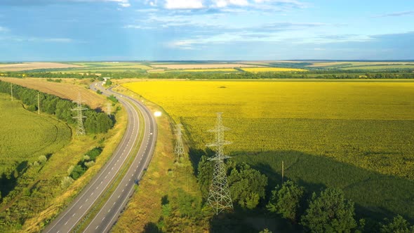 Highway Road And Sunflower Field 3