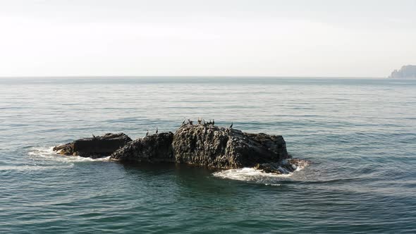 A View From a Drone of a Flock of Seabirds Sitting on Sharp Rocks