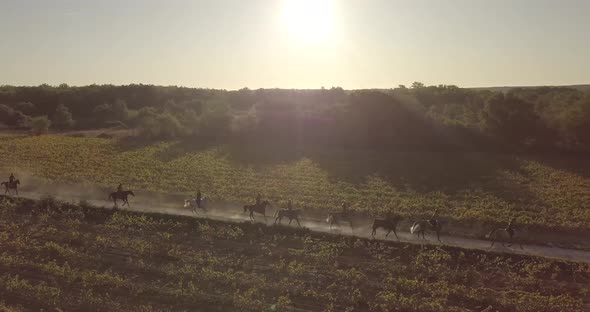 Horses riding in the countryside