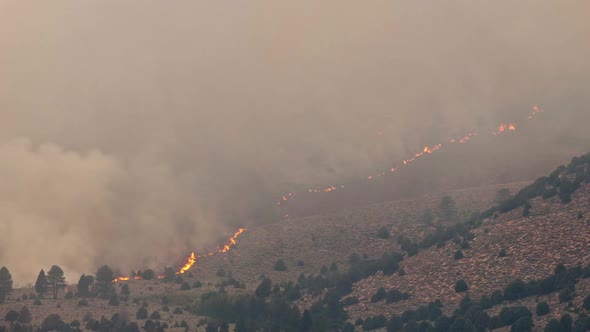 Forest Fire Burning Mountainside