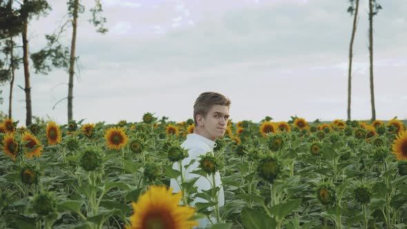 Guy Walks in a Field of Sunflowers and Look at Camera Summer Cloudy Weather