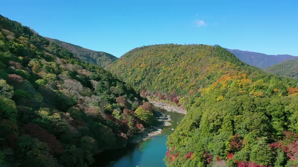Aerial view 4k by drone of Katsura river at autumn and boats. Arashiyama, Kyoto