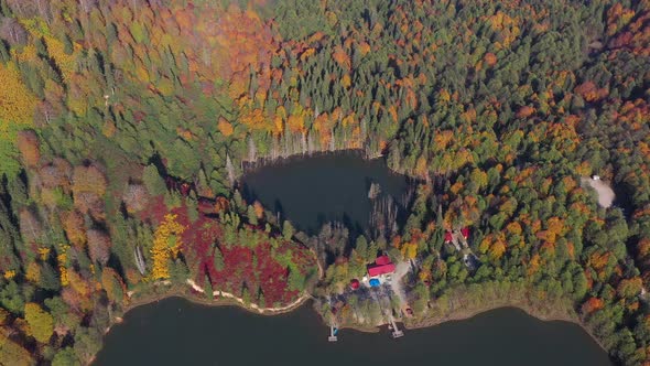 Lake Among Autumn Colors