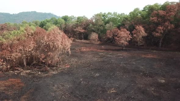 Fly over dry land before green bush in village