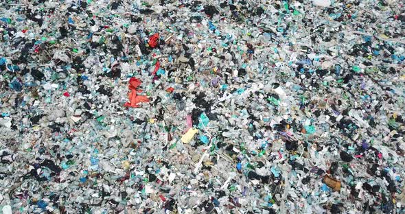 Ocean Beaches are Contaminated with Plastic Waste Garbage Platform
