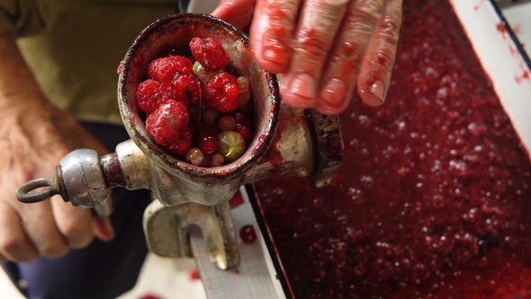 Human's hands chops summer berries for jam in grinder closeup
