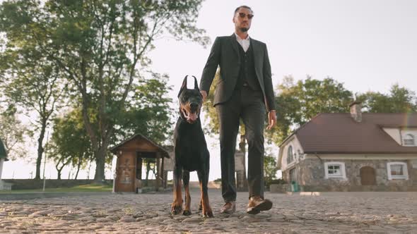 A Rich Businessman in a Business Suit Walks with a Large Doberman in the Park. Successful Bearded