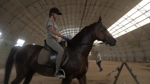 A girl trains a horse in an arena. Horse riding, horse racing, jumping