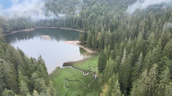 Mountain Lake Synevyr