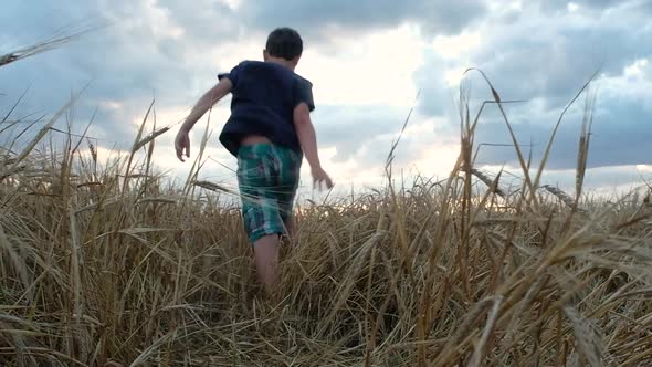 boy in a blue t-shirt runs and jumps on a yellow wheat field.