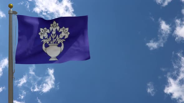 Dundee City Flag Scotland (Uk) On Flagpole