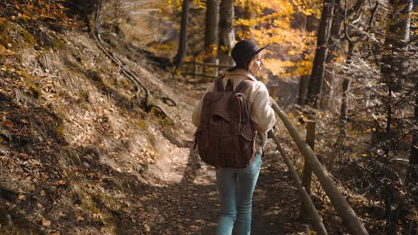 Happy Hiker Walks