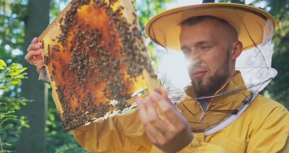 A Beekeeper Smiling Protected By a Protective Suit with a Mosquito Net on His Face Takes Care of the