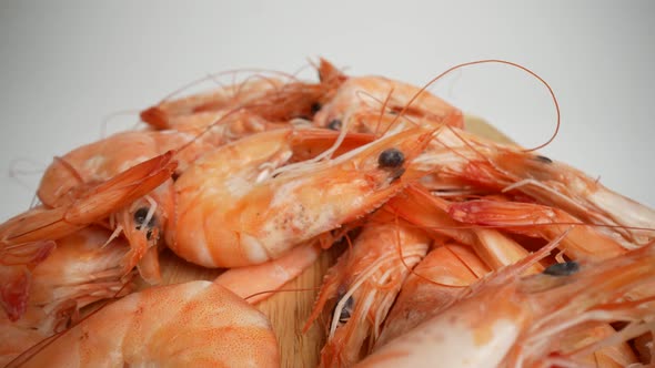 Boiled Shrimp 42