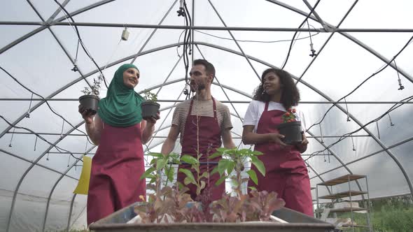 Happy Diverse Growers Chatting at Work in Hothouse