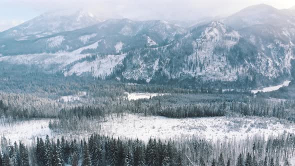 Breathtaking Winter Scenery of Snow Covered Evergreen Forest with Mountains in the Background During