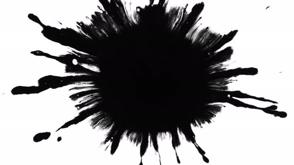 Super Slow Motion Shot of Black Ink Drop Isolated on White Background at 1000 Fps