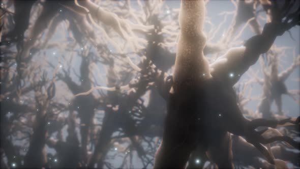 Journey Through a Neuron Cell Network Inside the Brain alt