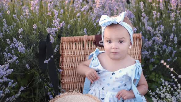 Little Cute Babygirl Is Sitting in the Lavender Field