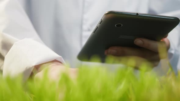 Professional Gardener in White Gown Checking Grass Quality and Typing on Gadget Tablet Touching