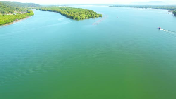 An island-shaped mangrove forest in the middle of a river mouth near the sea.