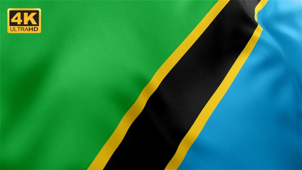 Tanzania Flag - 4K