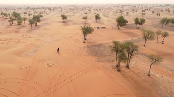 Aerial view of group practicing motocross on desert landscape, U.A.E.