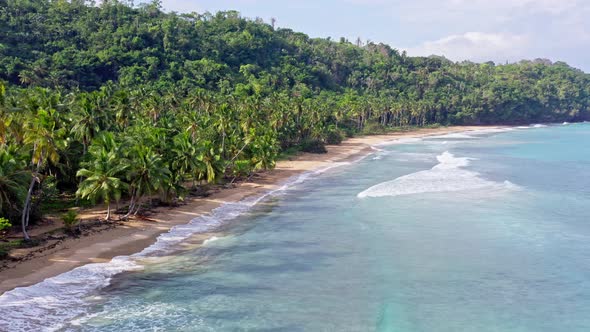 Palm Tree Lined Dominican Virgin Beach of Playa Coson as Ocean Waves Roll Gently onto Shore - Drone