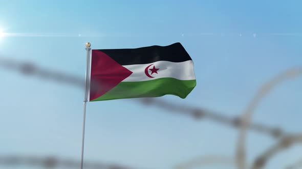 Western Sahara Flag Behind Border
