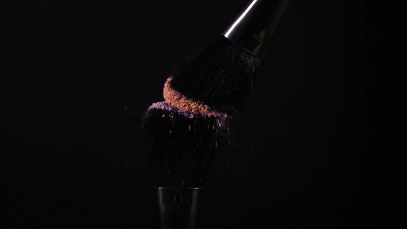 Makeup Brushes Pastel Light Brown and Purple Color Eye Shadow Powder